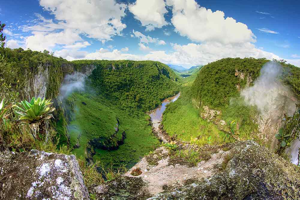 forêt-amazonniene-BD